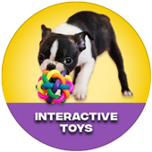 Interactive Toys