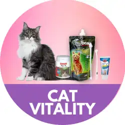 /storage/product-meta/cat-vitality.webp